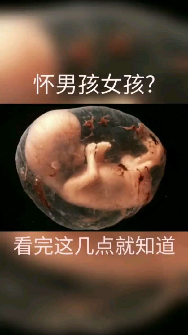 怀男孩女孩?。看完这几点就知道