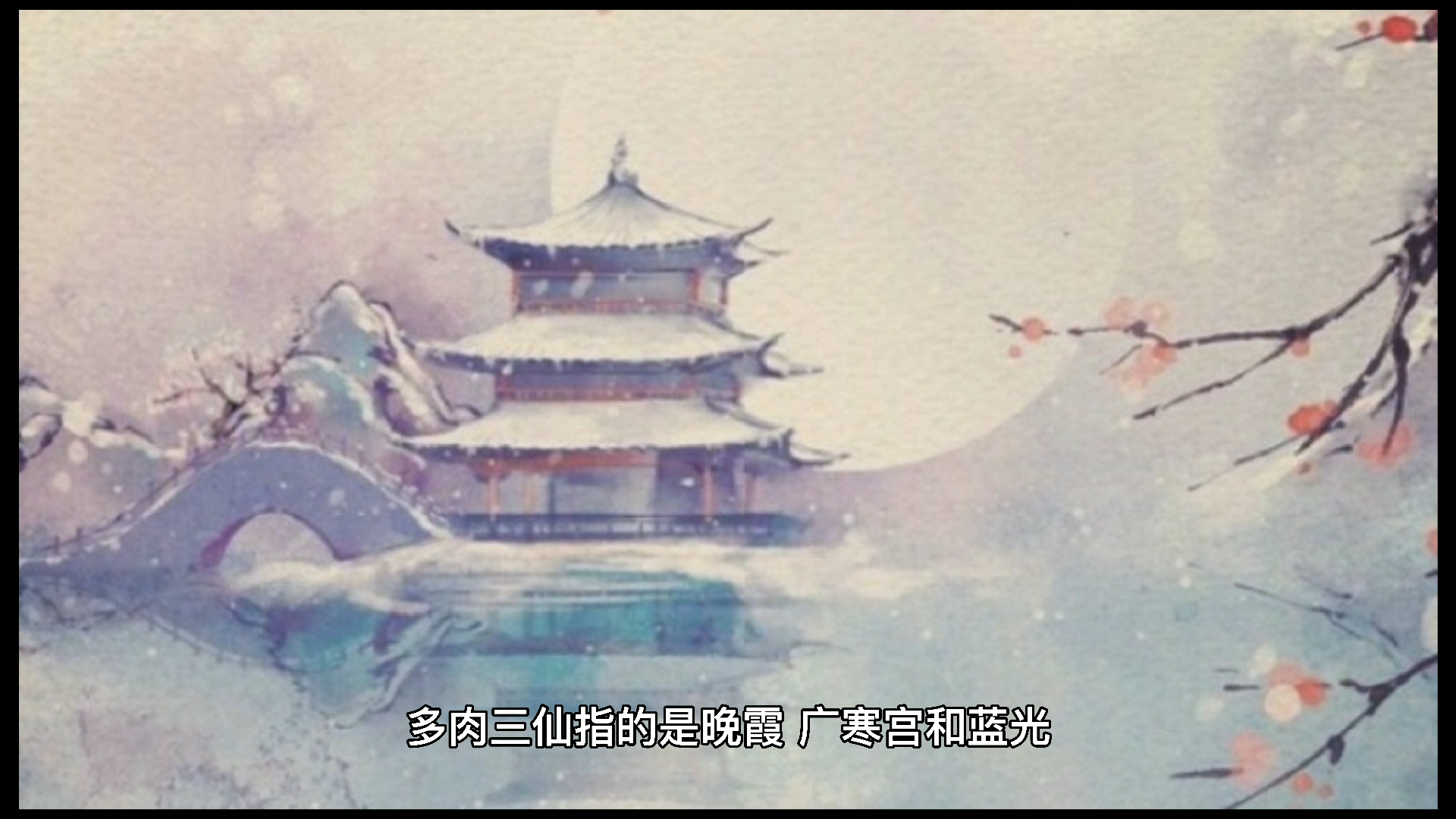 多肉植物里的三大仙子