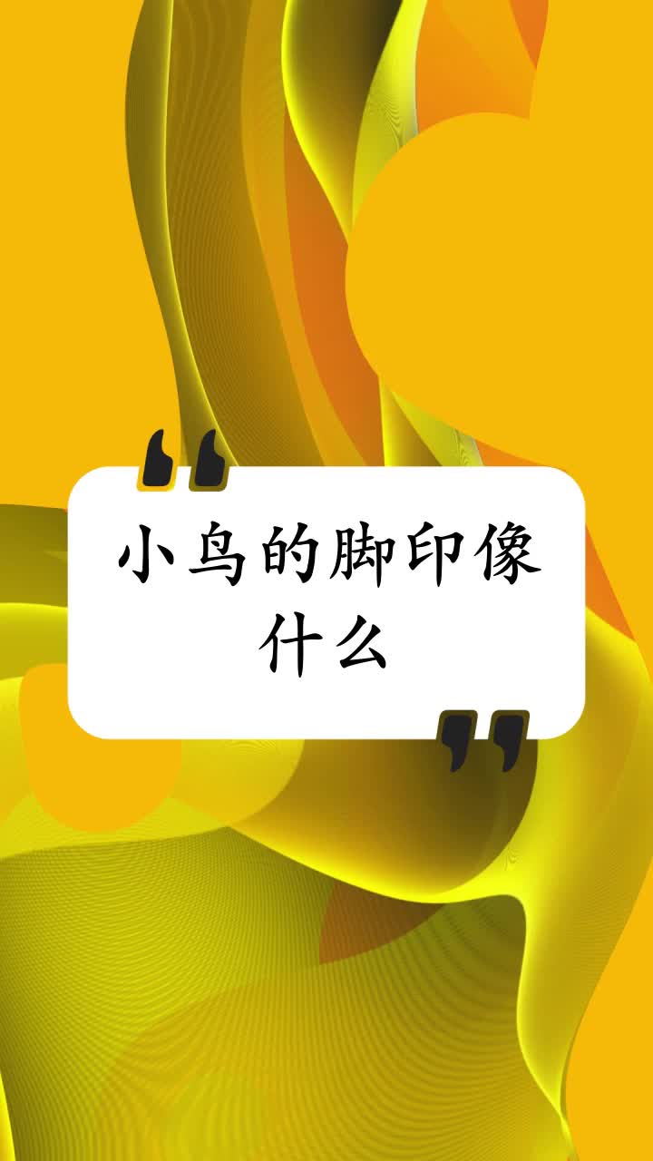 小鸟的脚印像什么