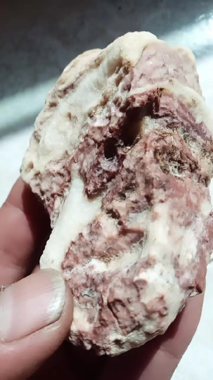 带骨肉石原石。