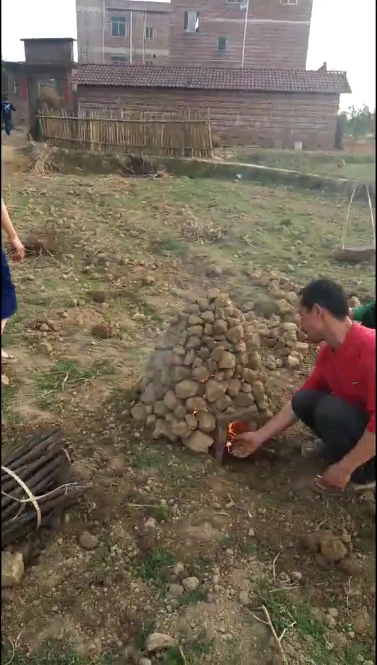 天天烤鸡吃了喉咙痛了你们想吃吗?