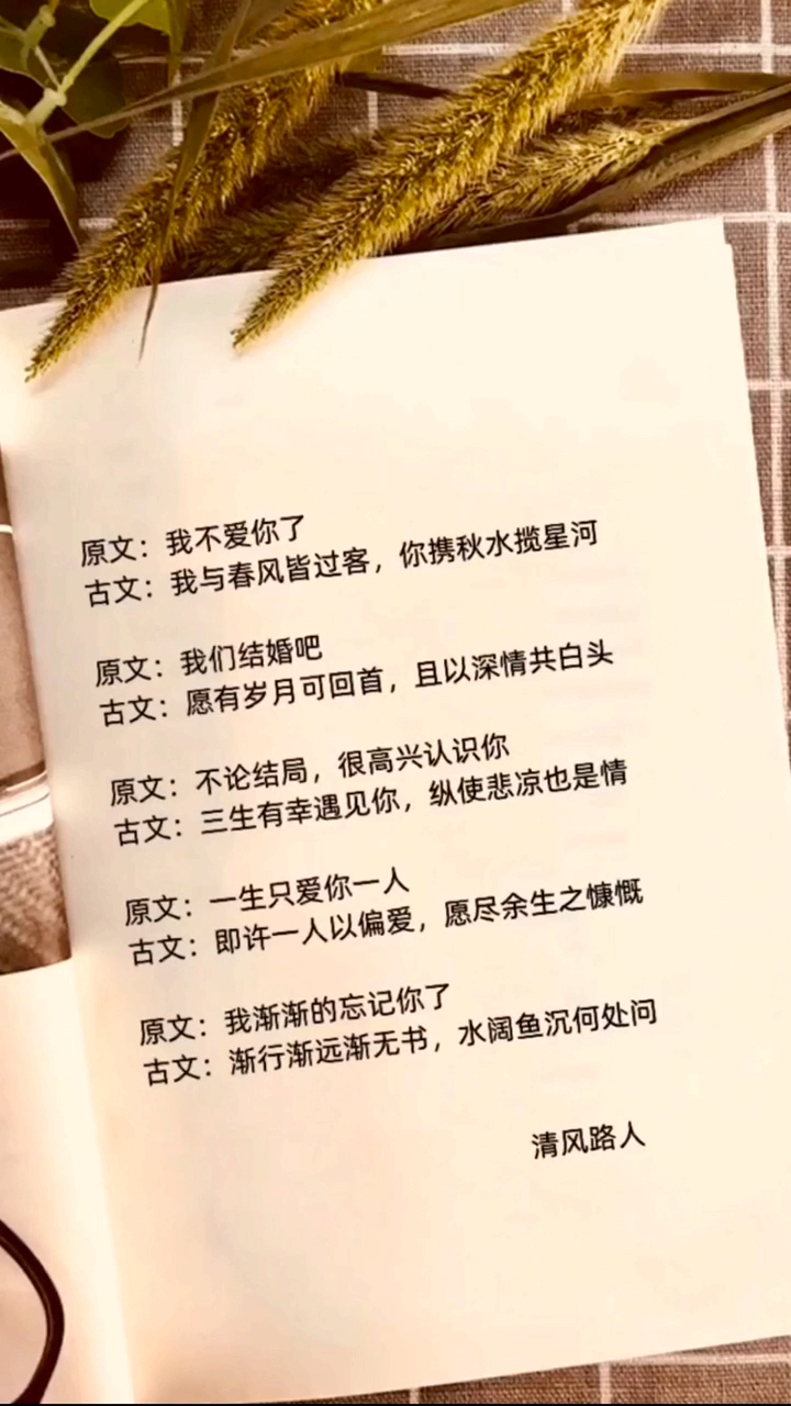 唯美古风句子,你最喜欢哪一句