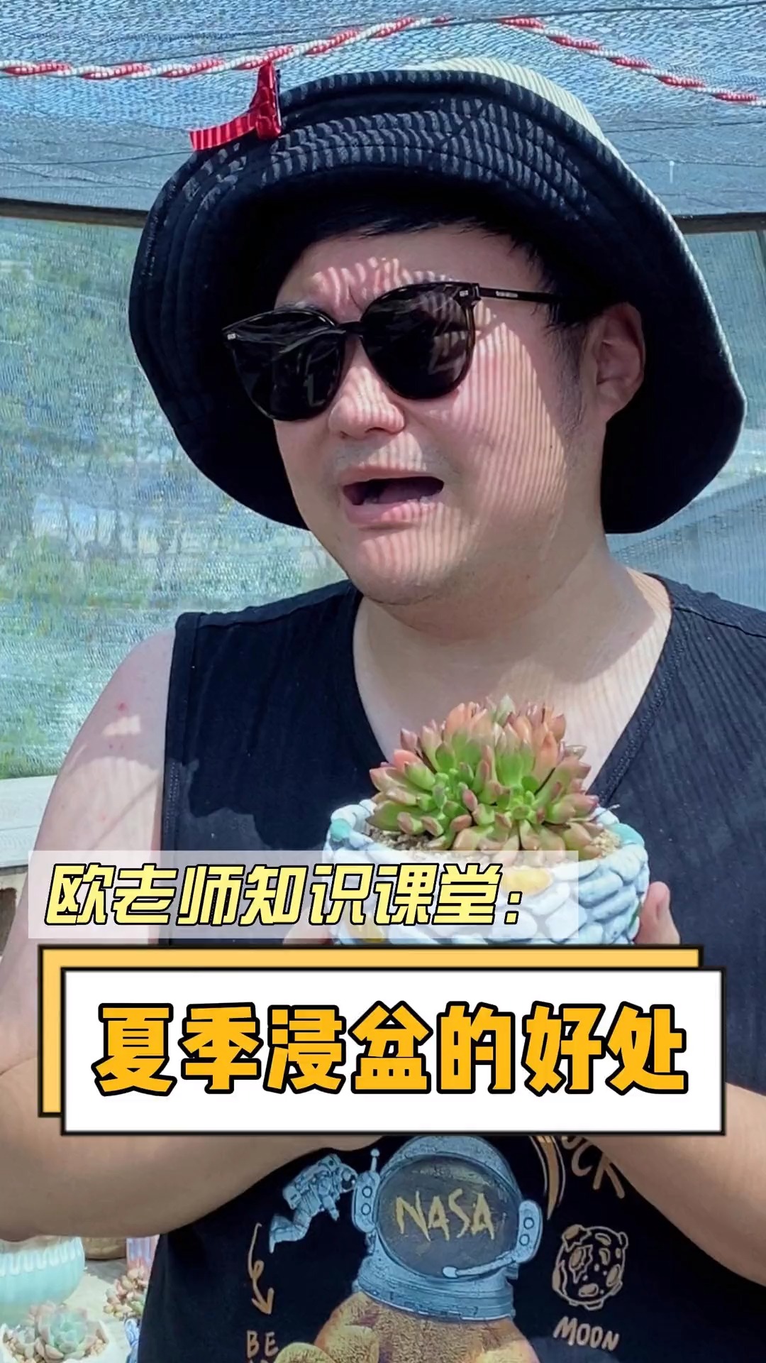 #有一种可爱叫多肉!#夏季最好用的浇水方法,赶紧get起来#多肉 #多肉植物 #多肉养护