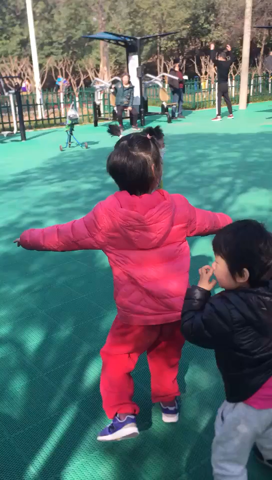 老鹰抓小鸡