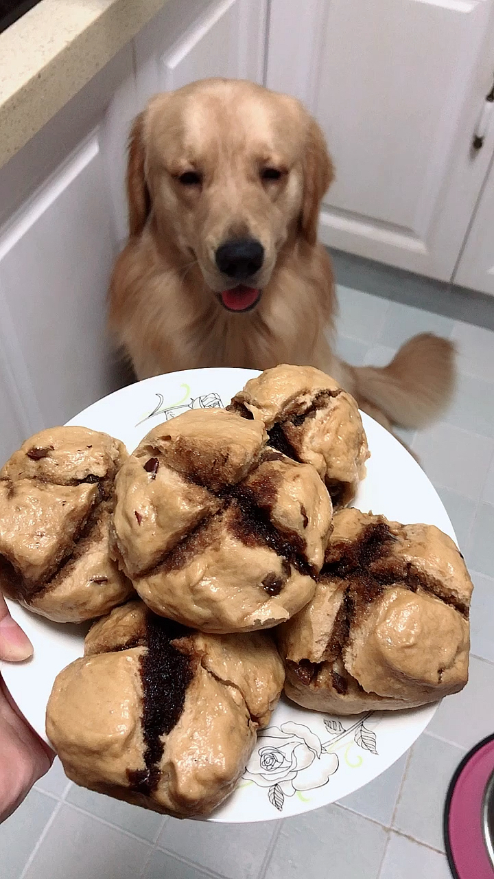 自己做的红糖馒头,馋死狗子啦