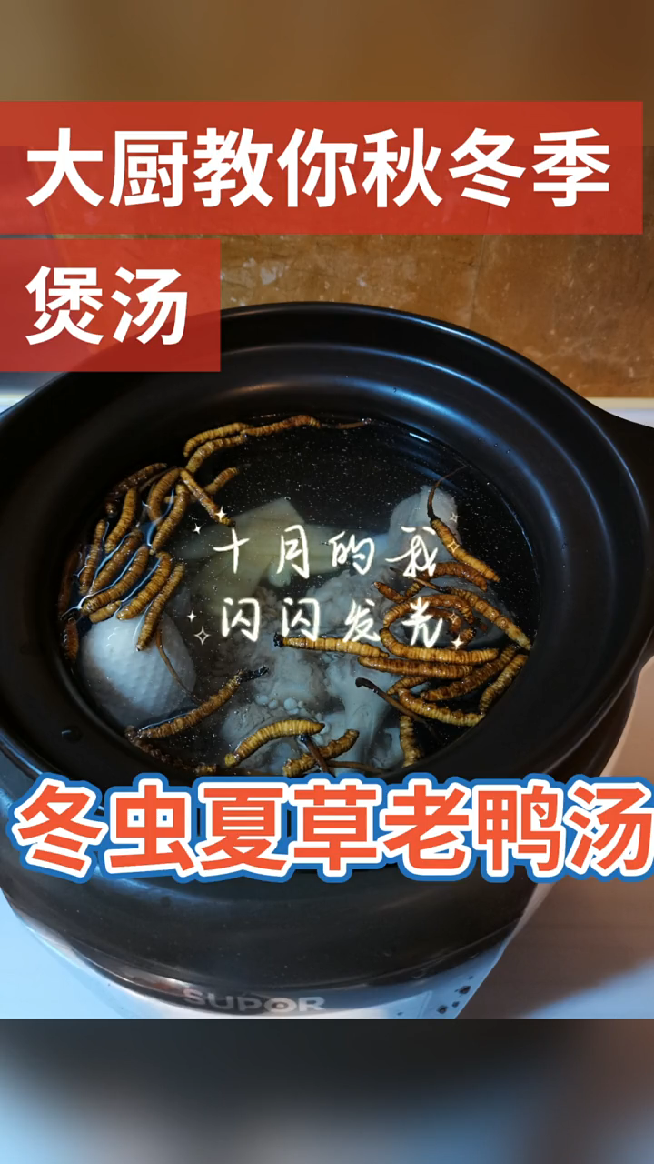冬虫夏草和老鸭如何炖?