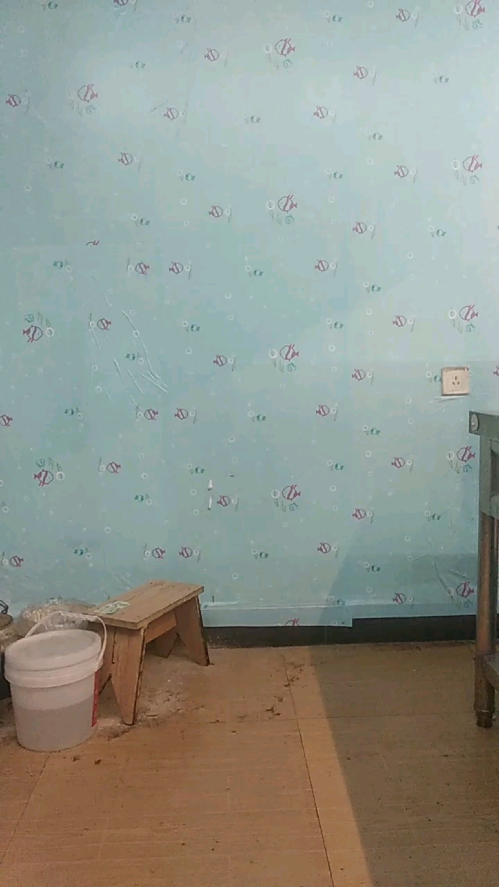 小鱼壁纸