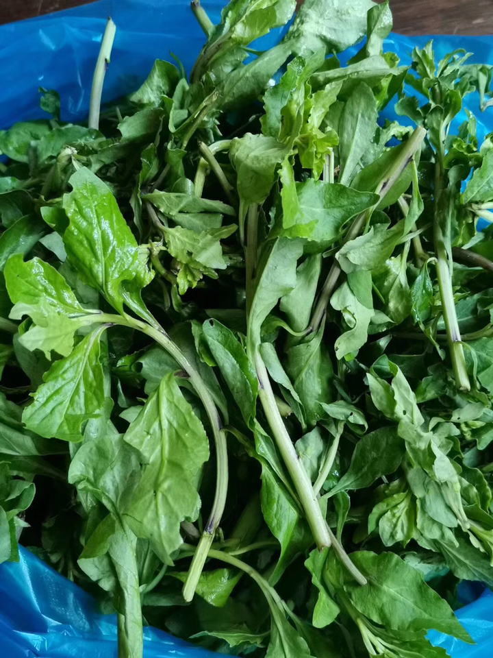 野菜