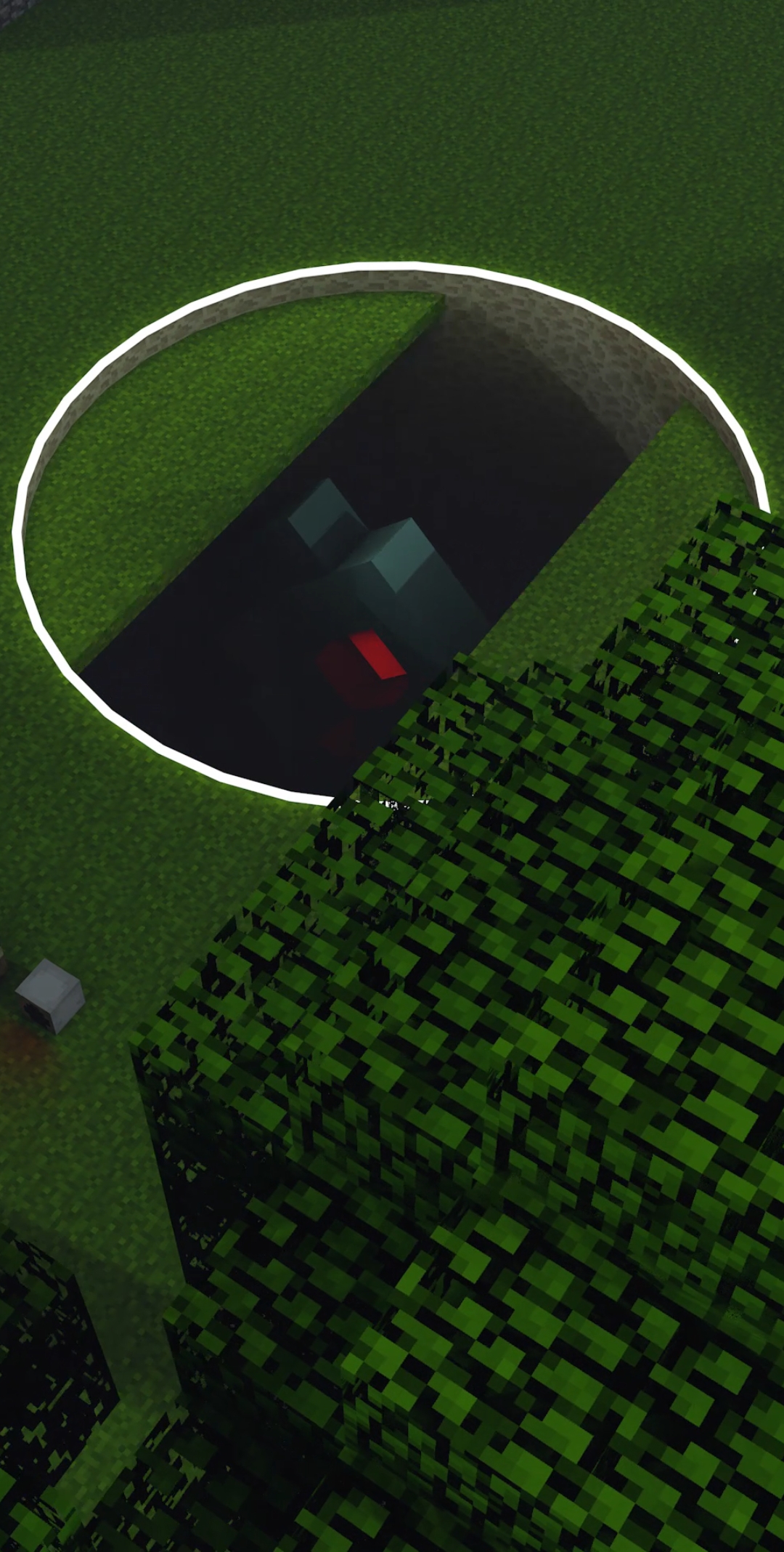 菜鸟还有一个大招就是召唤出大咸鱼