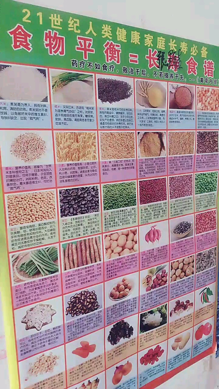 21世纪人类健康家庭长寿必备食物平衡日长食谱药疗不如食