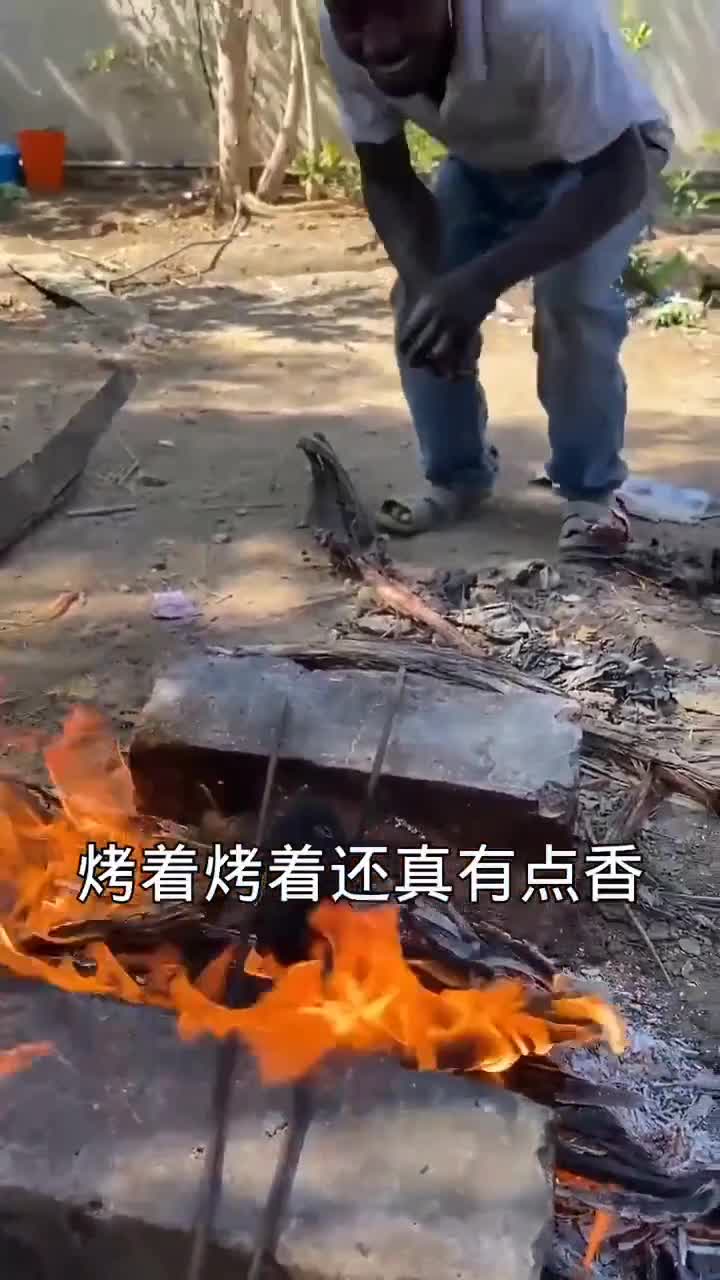 来尝试一下烤猴面包树的果实,实在是太难吃了