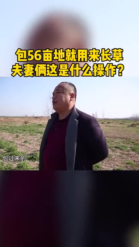 包56亩地就用来“长草”,夫妻俩这是什么操作