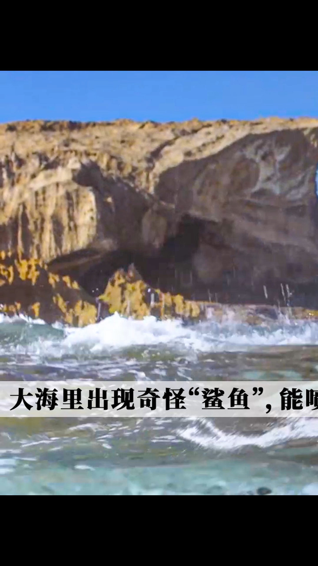 #电影解说#大海里出现奇怪鲨鱼，居然能喷出大量毒液攻击人