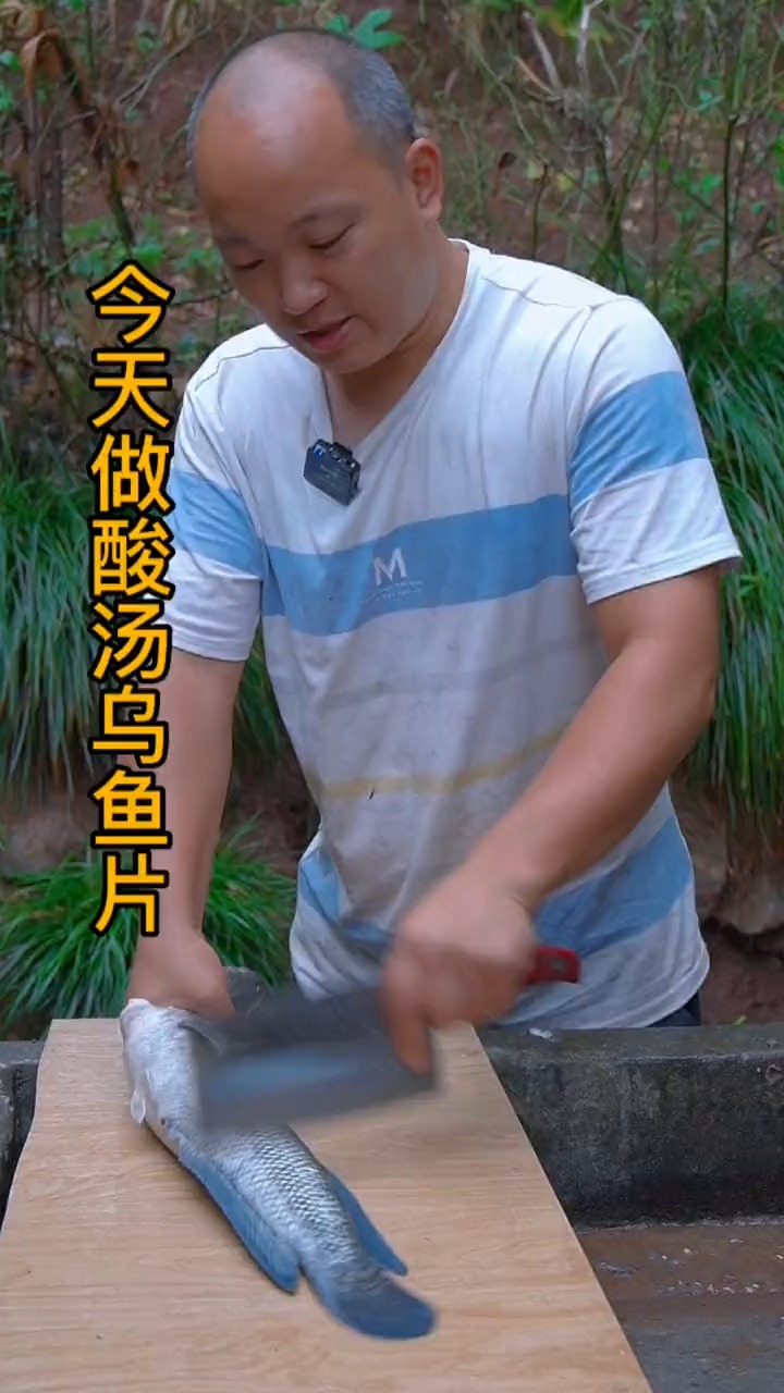 #美食#天气变冷,把乌棒拿来做一道酸汤乌鱼片,肉嫩汤鲜,巴适得板