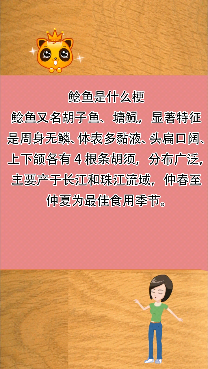 鲶鱼是什么梗呢?