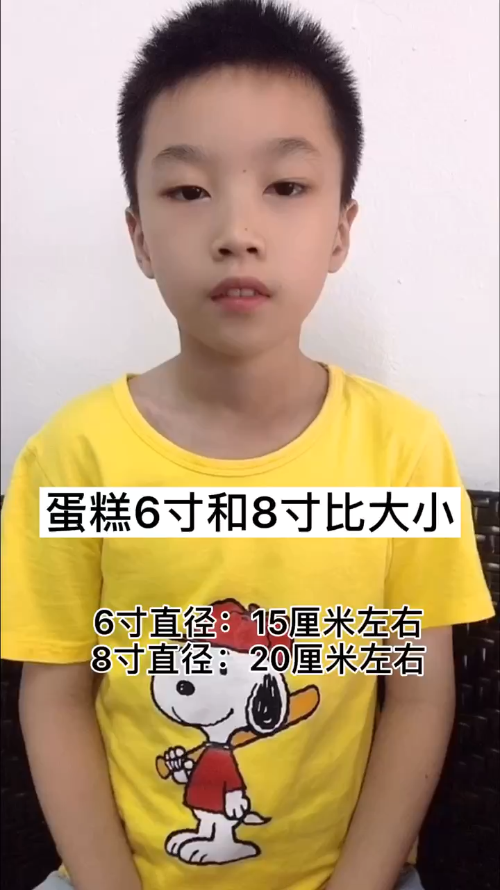 蛋糕6寸和8寸对比大小