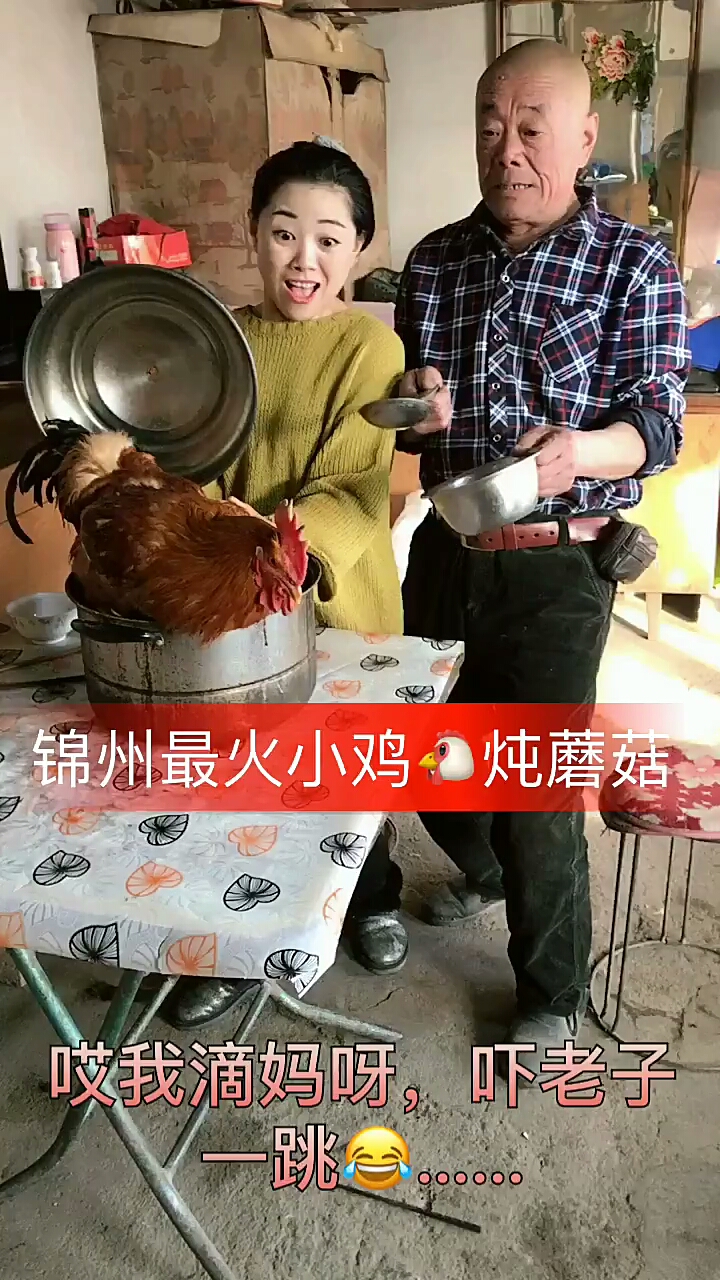 #搞笑段子剧#爆笑小鸡炖蘑菇