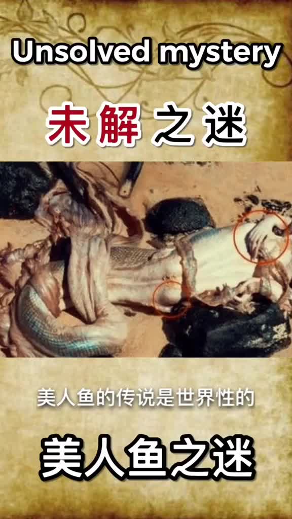 美人鱼之谜美人鱼
