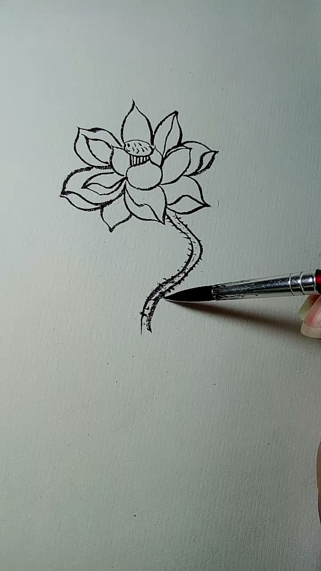 荷花简单画法教程