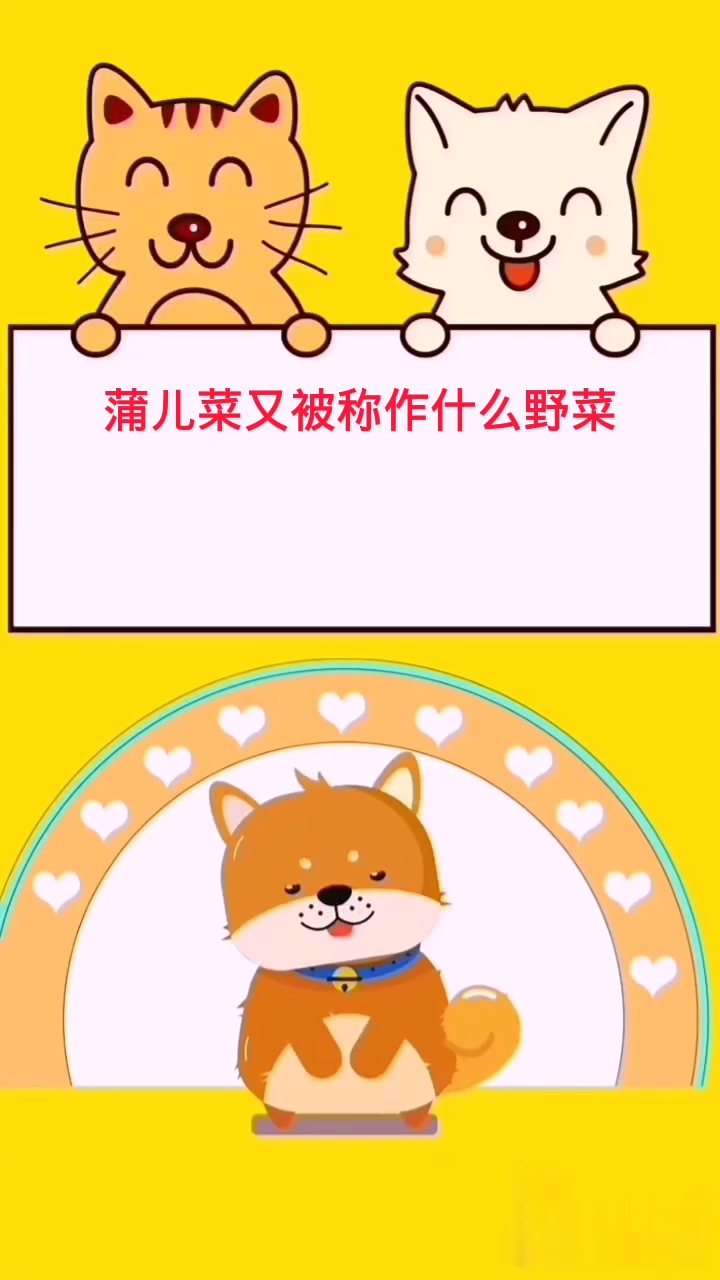 蒲儿菜又被称作什么野菜