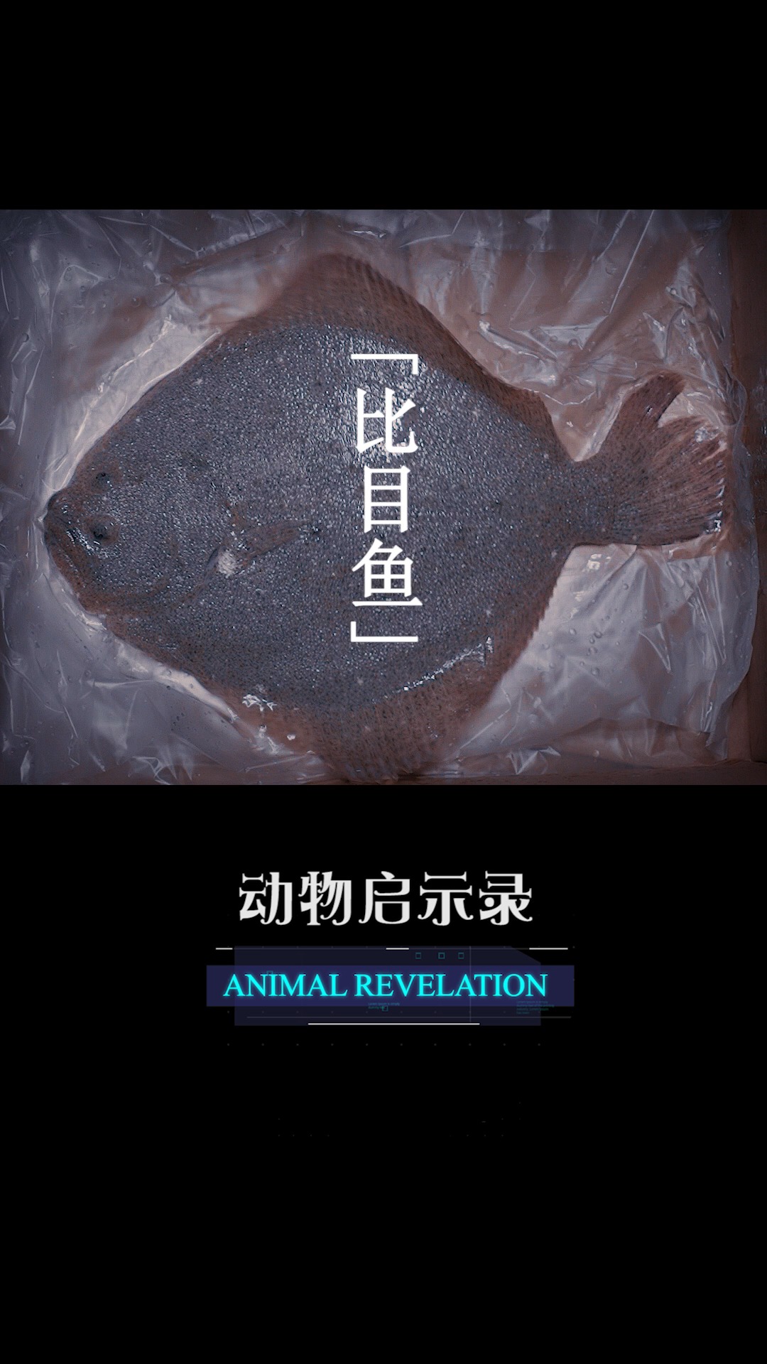 #剧情#【比目鱼】你身边有重男轻女的现象吗?