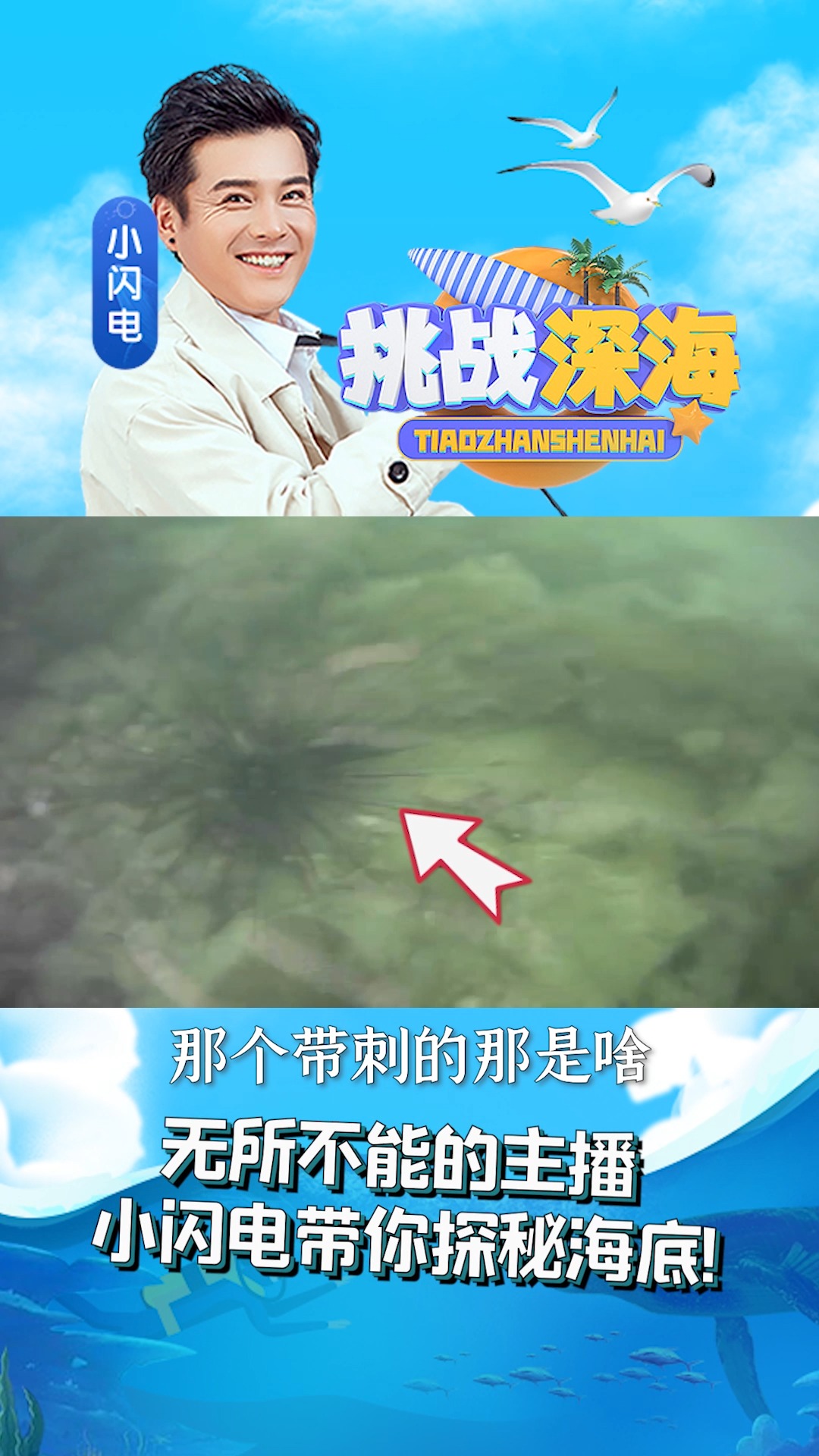 #YY直播#小闪电还有什么惊喜?潜水求探鲨鱼也太强了吧!