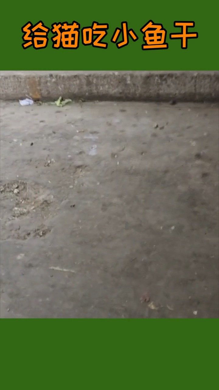 你倒是把手松开啊