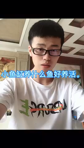 小鱼缸养什么鱼好养活