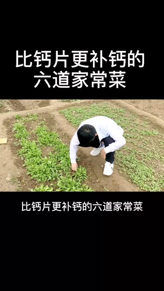 比钙片更补钙的六道家常菜,家长们一定要收藏!#育儿 @全民小视频小助手