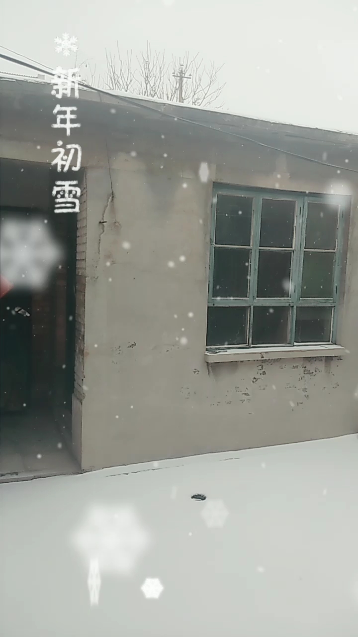下雪啦!下雪啦!雪地里来了一群小画家,小鸡画竹叶,小狗画梅花;小鸭画枫叶……