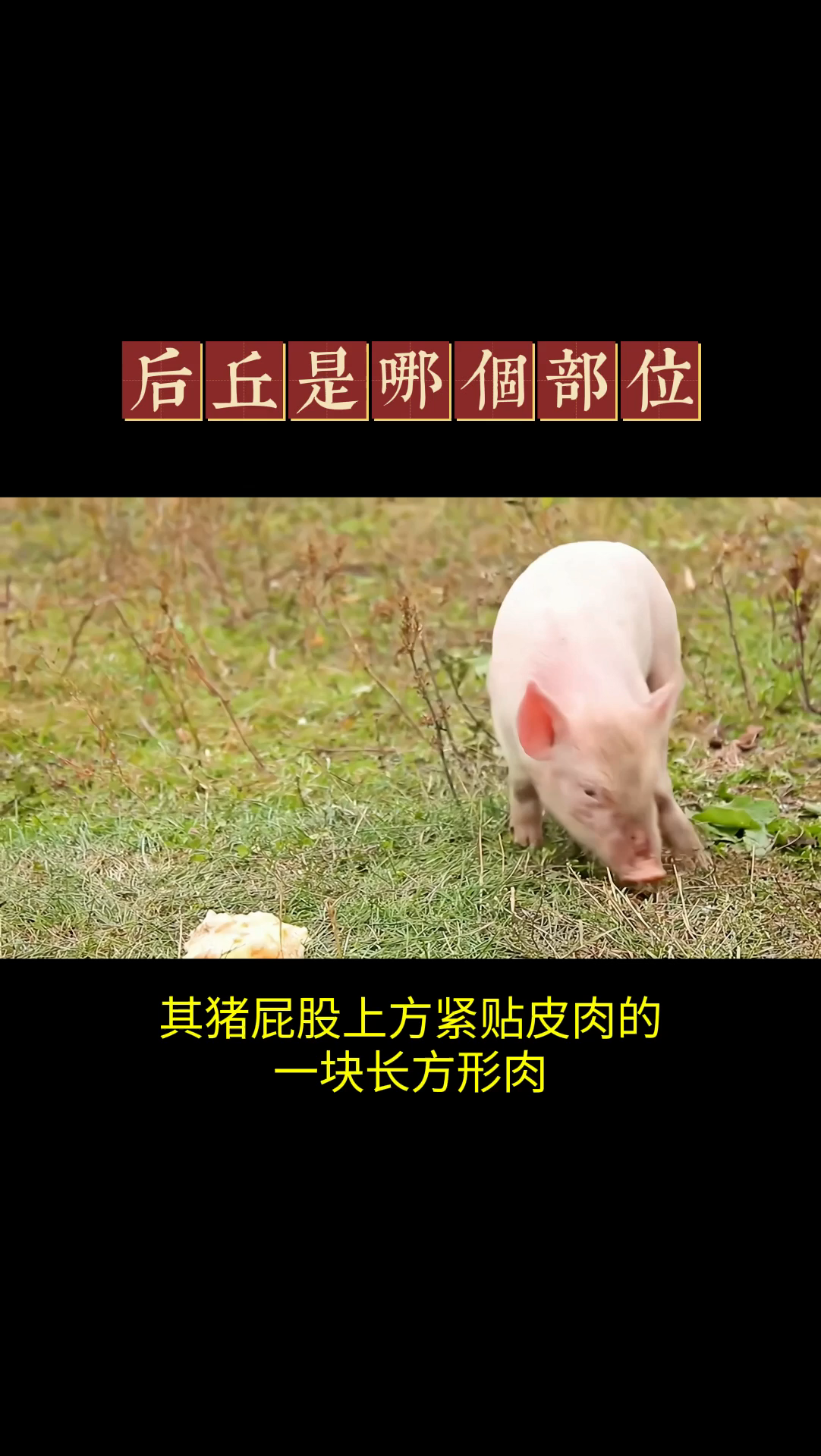 后丘是哪个部位?