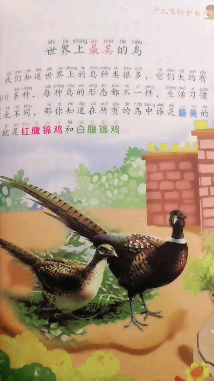有多少人不知道它们的名字