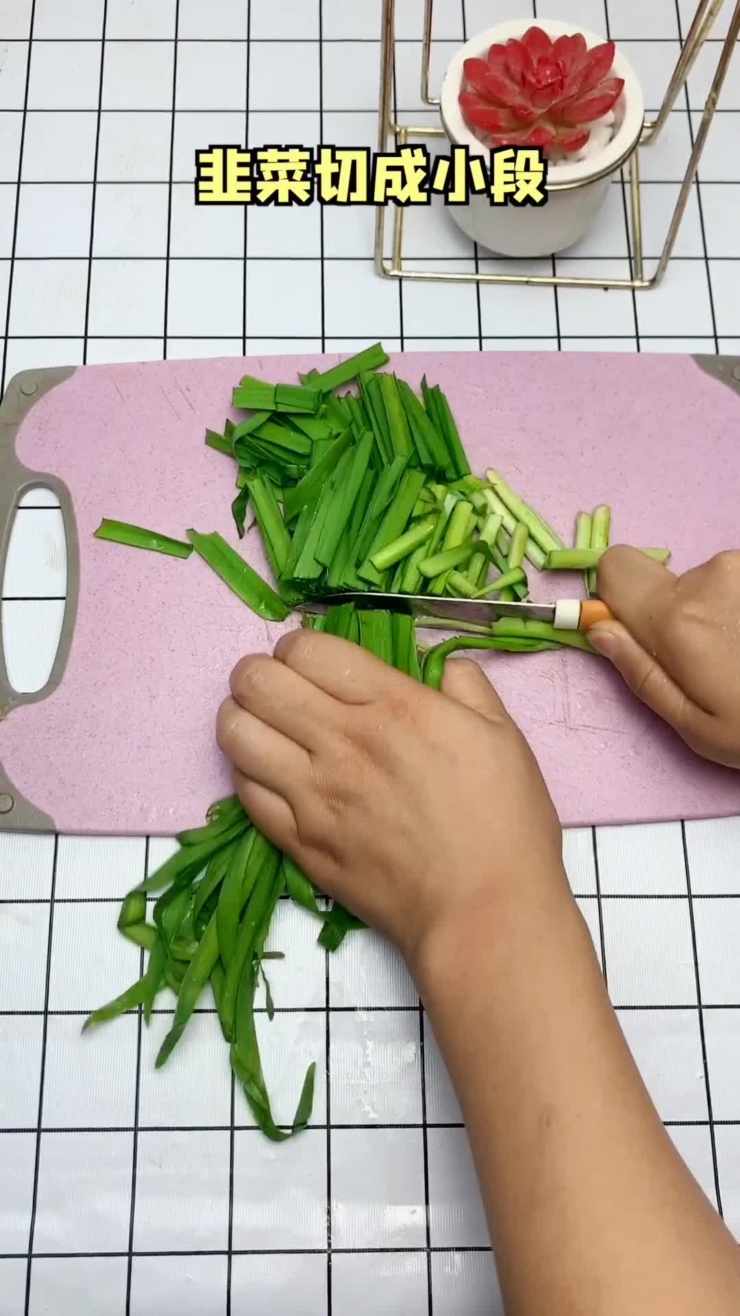 韭菜是个宝贝,用陈醋煮开可以解决腰疼,