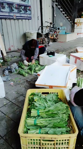 #音为有你#这么冷的天,工作都不容