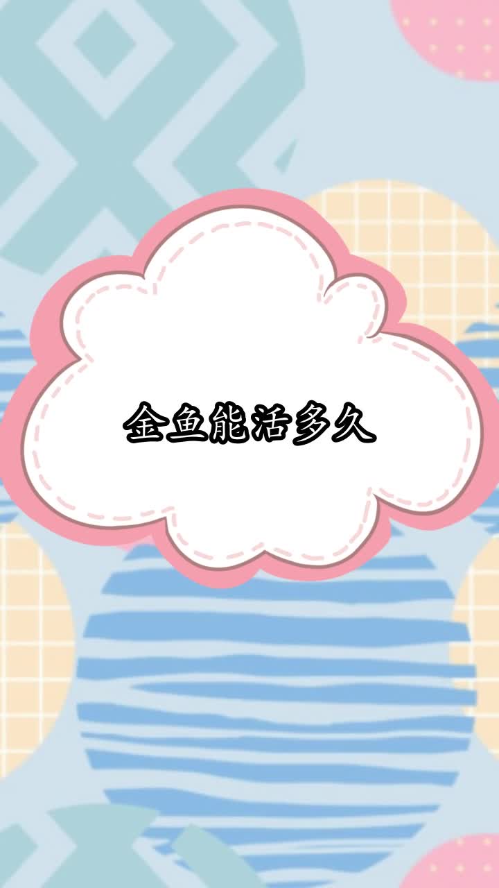 金鱼能活多久,你听懂了吗