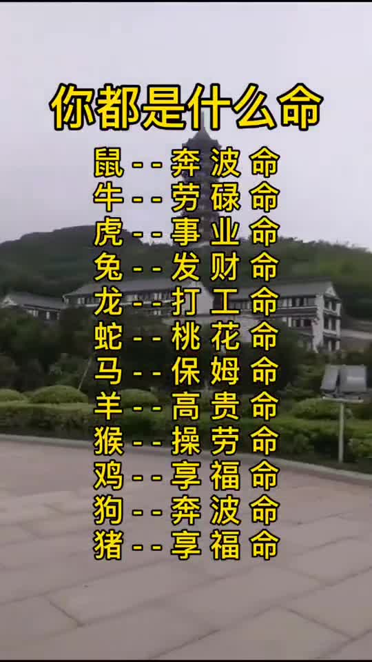 送给亲爱的朋友们,人的一生,你想明白了吗(2)