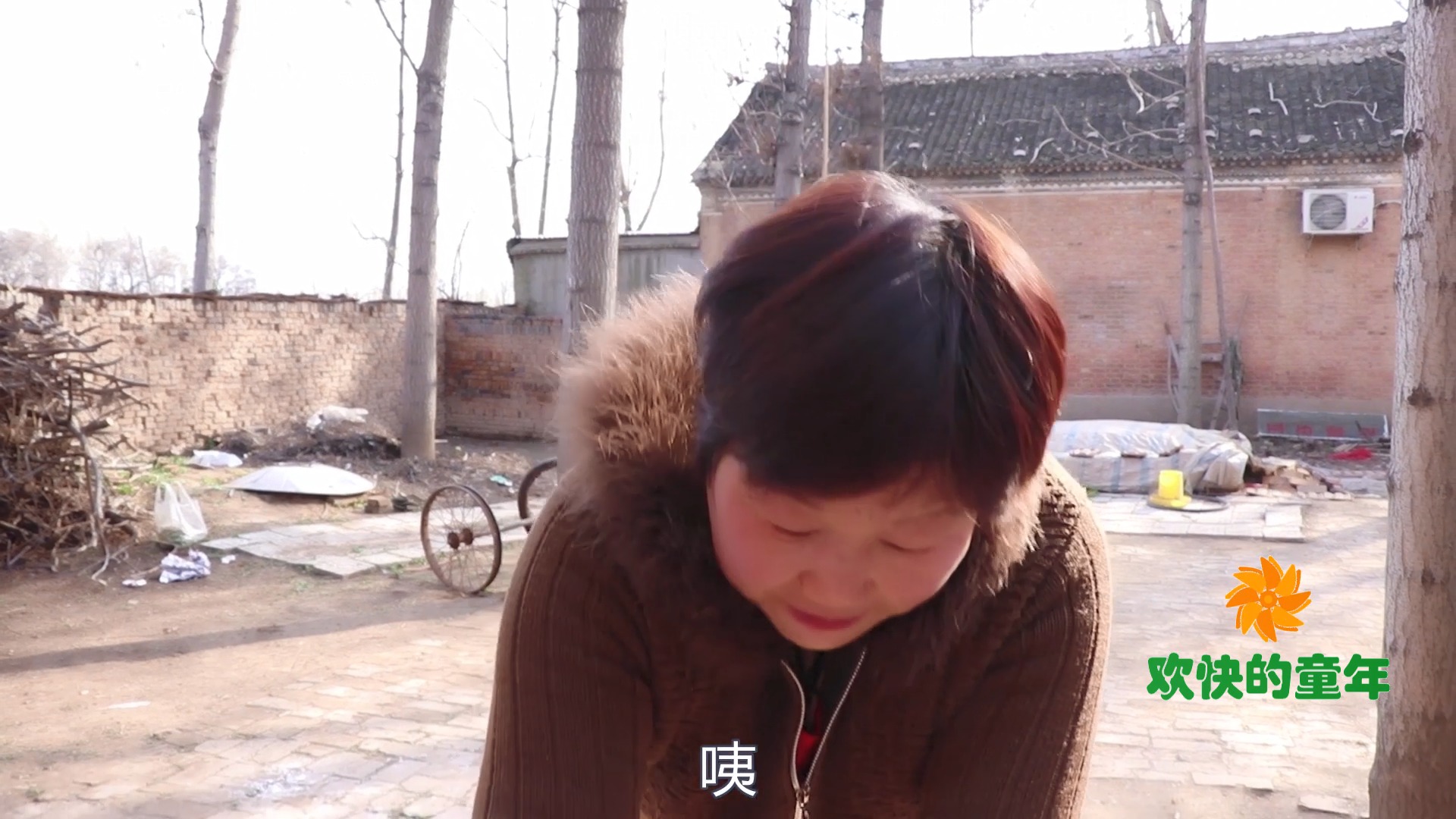 #童年回忆#小时候的梦想,就是能养一只属于自己的宠物,你以前养过什么?