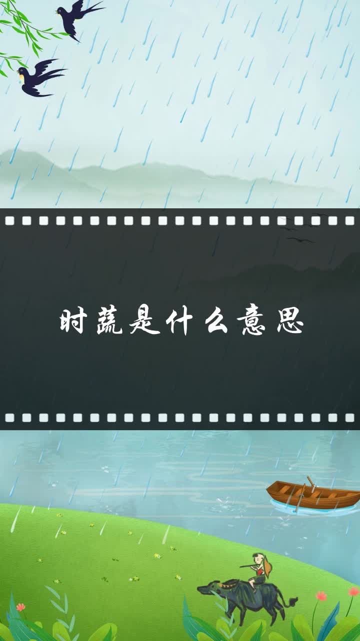 时蔬是什么意思