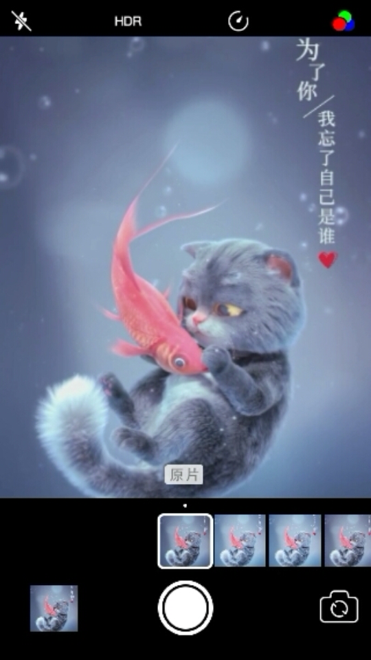 猫鱼之恋!《四》感人!