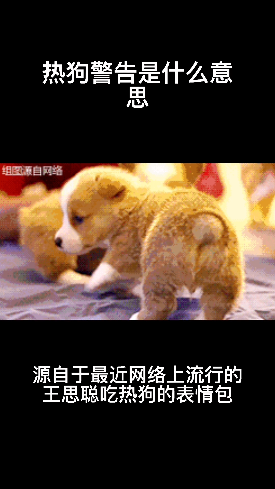 热狗警告是什么意思