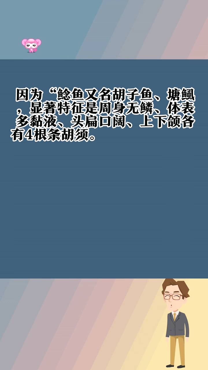 请问鲶鱼是什么梗呢?