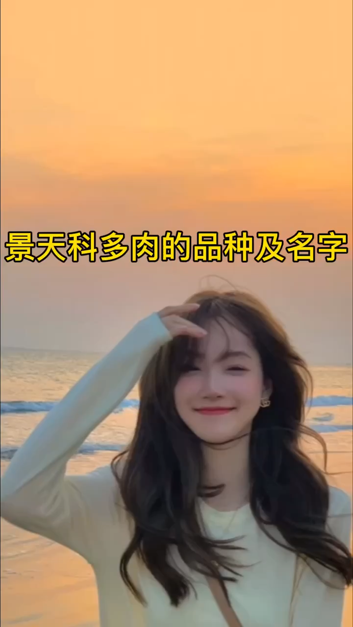 景天科多肉的品种及名字