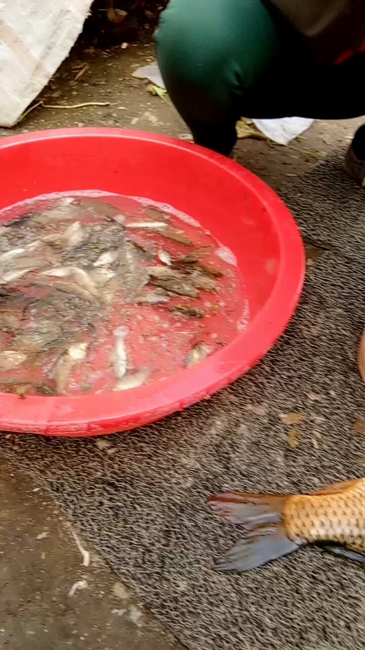 鱼米之乡