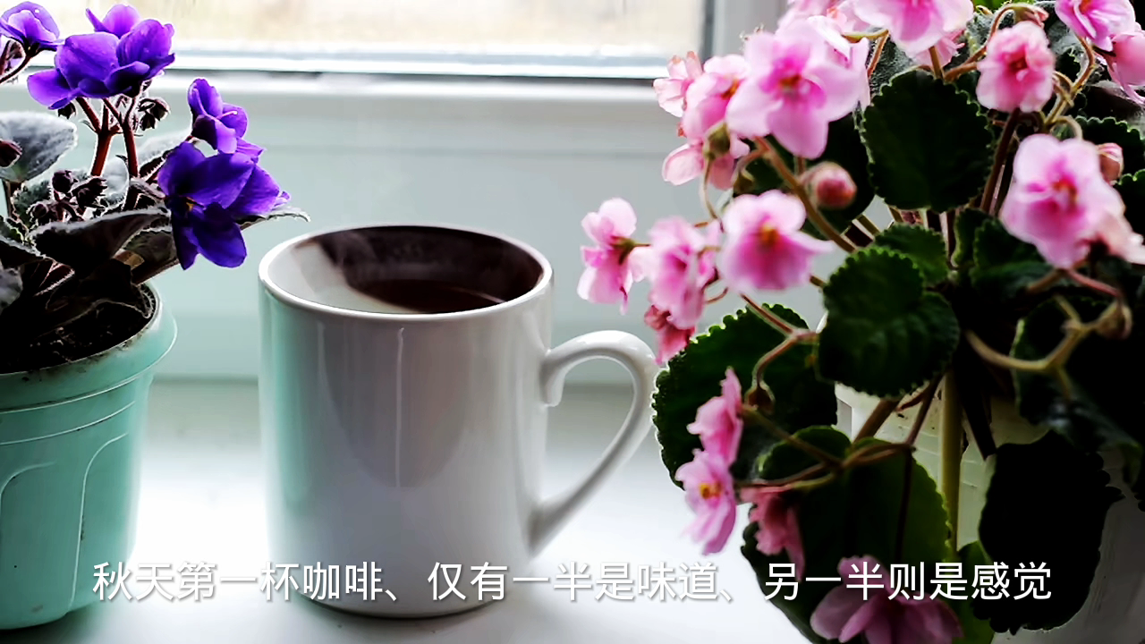 秋天的第一杯咖啡怎么发朋友圈?