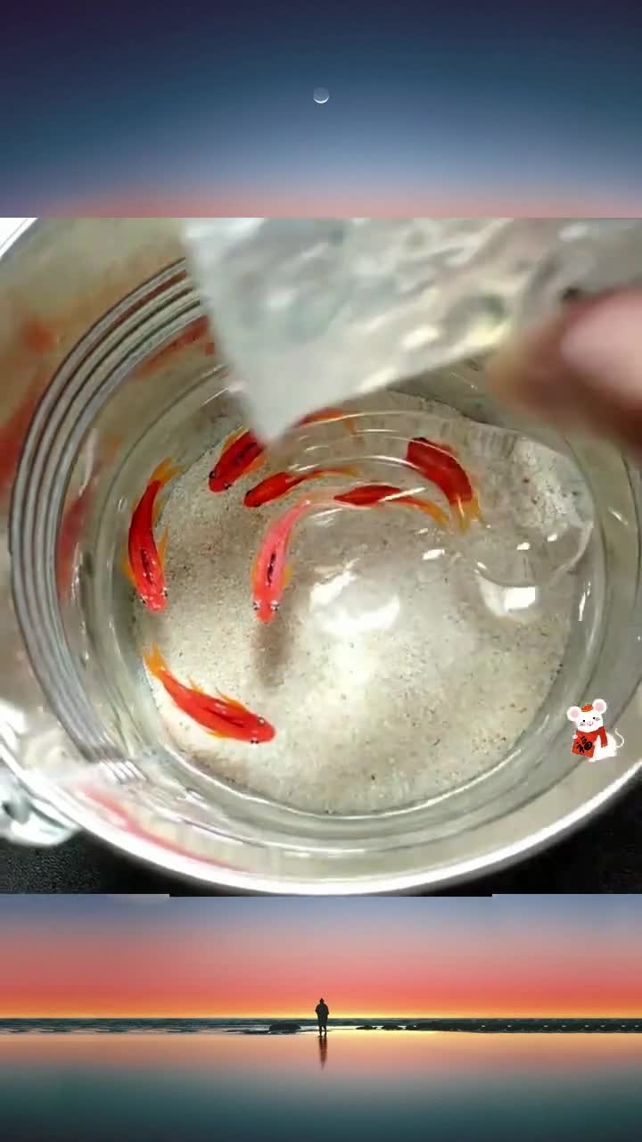 孩子突然想养鱼,又出不了门,就给他画了一桶。