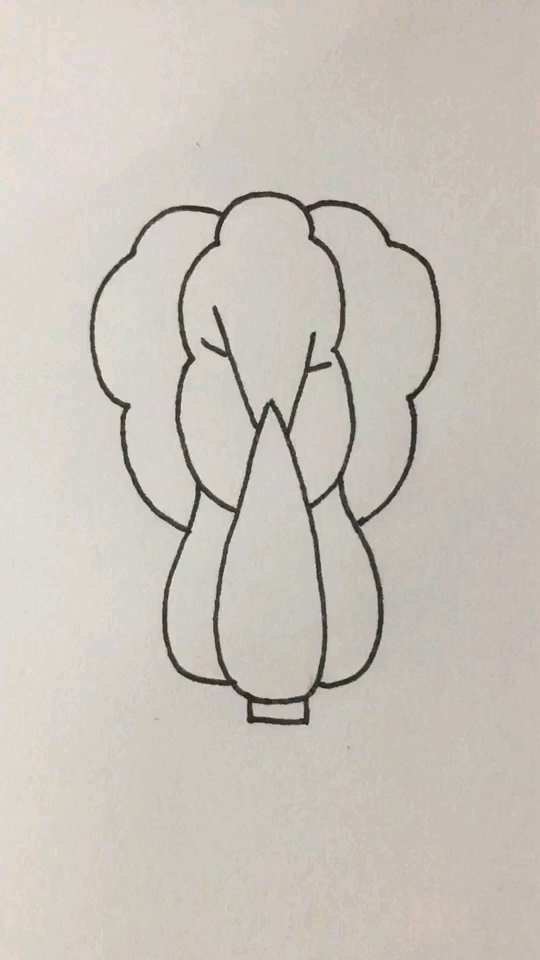 大白菜简笔画