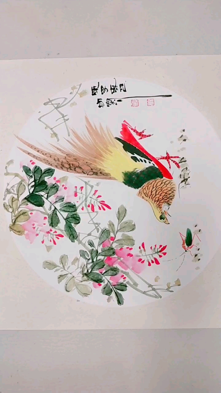 教您锦鸡的画法