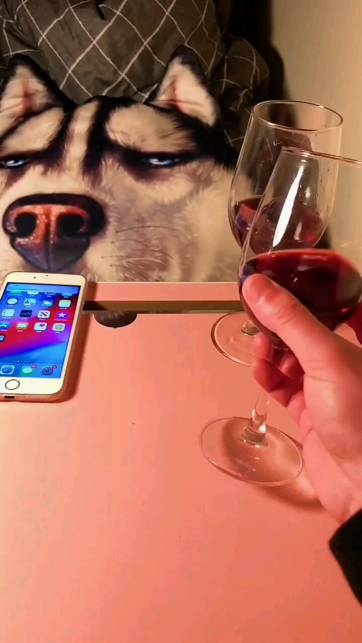 半夜偷吃鸡爪配红酒太长又地久!