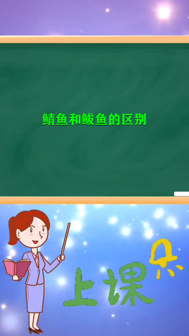 鲭鱼和鲅鱼的区别