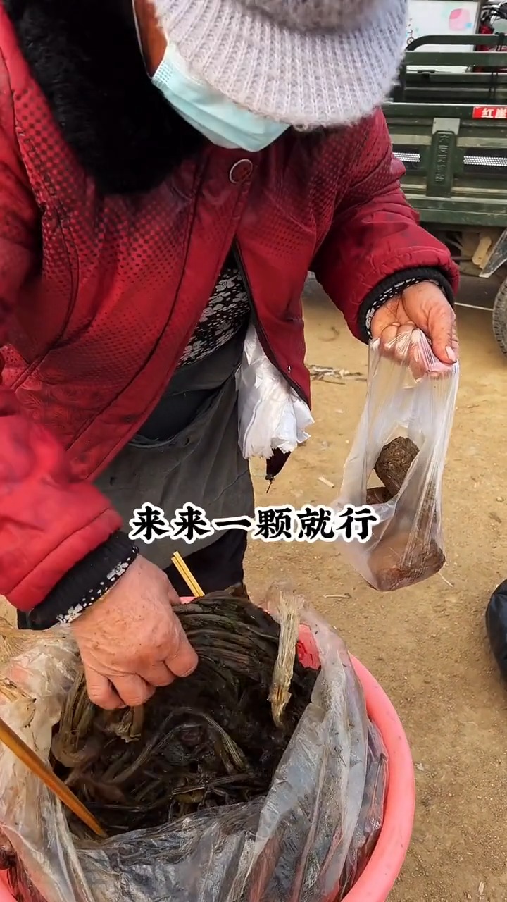 芥菜疙瘩特别好吃,烀的特别软烂,而且还不是特别咸